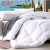 Five-star hotel bedding The spring and autumn period and the single core in the quilt 