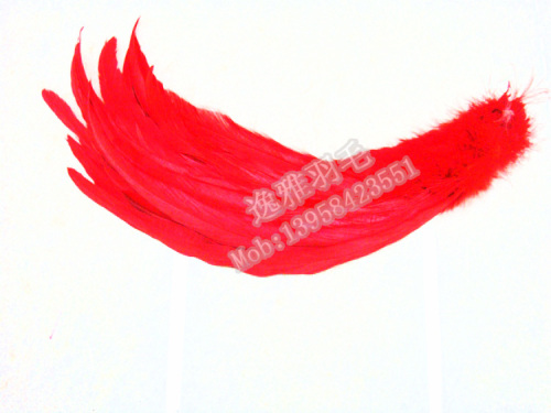 [Factory Direct Sales] Various Feathers， DIY Feathers， 10-12 ‘White Tail Hair， Rooster Tail Hair， Rooster Hair， Multi-Color Optional