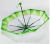 Korean version of creative simulation lace canvas umbrella 21 inch 30 percent of Chinese cabbage and Chinese cabbage