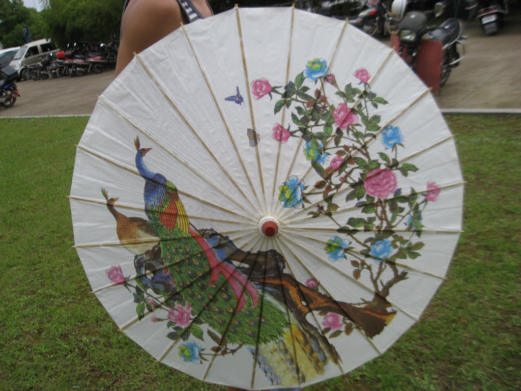 伞风景画手绘纸伞