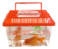 baojie aquarium equipment & pet supplies company manufacturers supply pet boxes plastic fish tank， fish tank turtle box