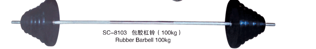 rubber-coated barbell 80kg