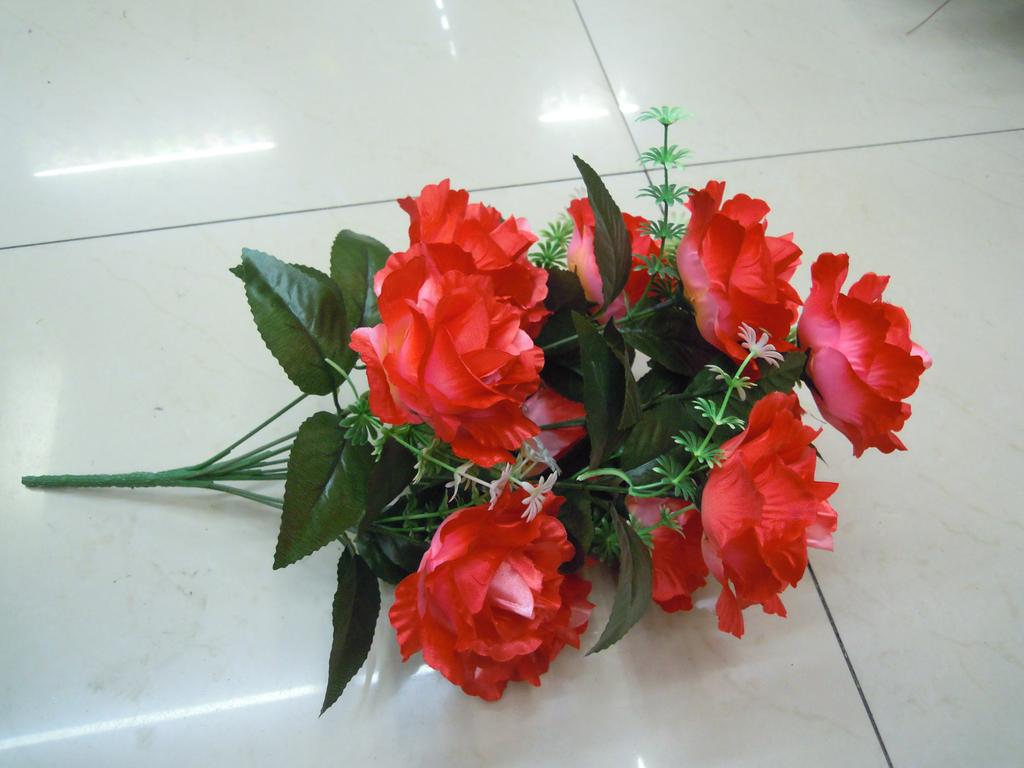 塑料花姐妹是什么梗什么意思-学路网-学习路上