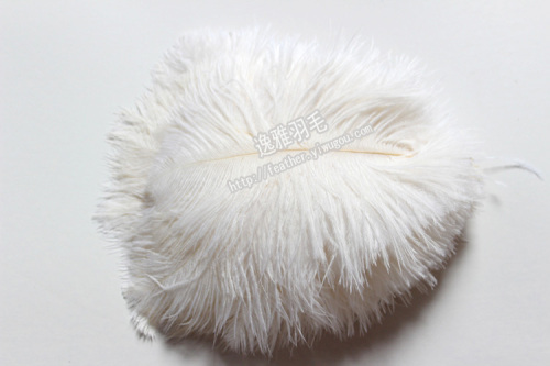 African Imported Small Ostrich Hair 15-20cm Ostrich Hair Natural Feather Dyed Feather