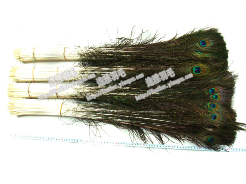 supply quality indian imported peacock feathers 70-80cm decorative feather flower arrangement feathers wholesale