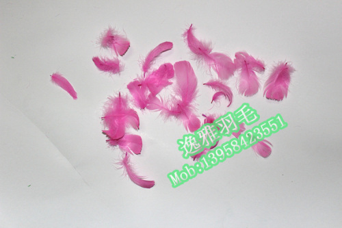 Factory Wholesale DIY Dyed Large Floating Goose Feather Floating Goose Feather Mobile Phone Pendant Headdress Flower Accessories