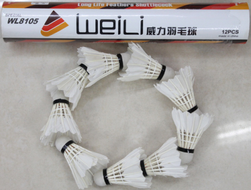 power badminton 8105