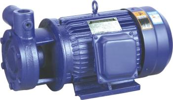 高扬程单极旋涡泵锅炉给水泵锅炉压力泵单级旋