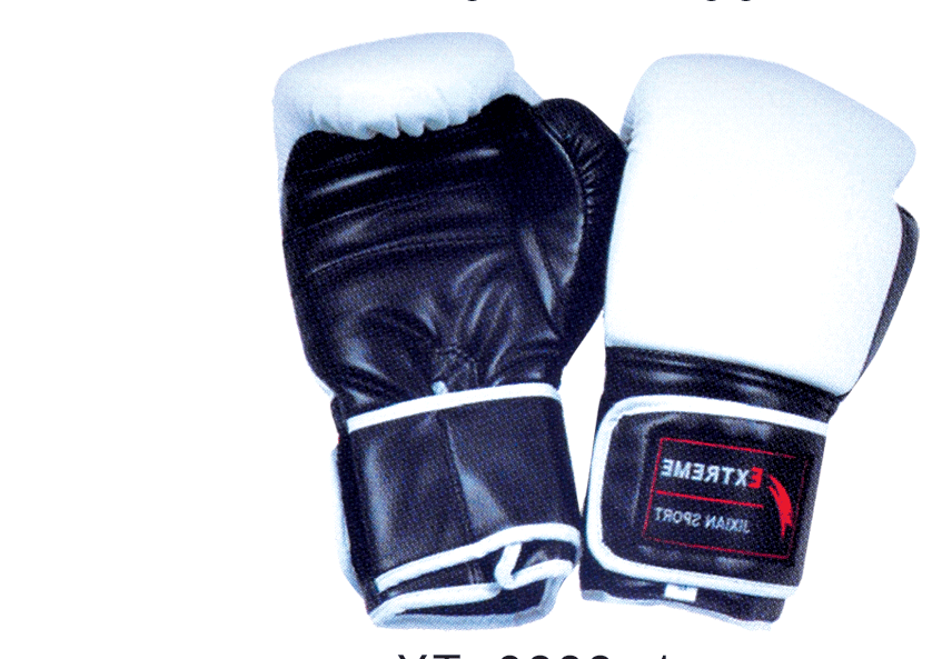 Boxing Protective Glove