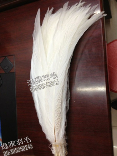 Wholesale Supply Colorful Silver Chicken Copper Chicken Feather Jewelry Feather， Headdress Clothing Wedding Celebration Decoration Feather