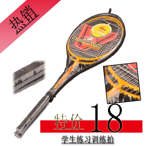 Badminton Racket Student Practice Training Racket Affordable Shuttlecocks