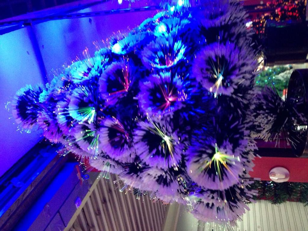 雪花叶压花光纤树1