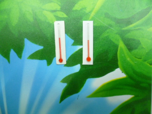special supply no printing white 3*0.7 paper thermometer crafts red liquid paper thermometer