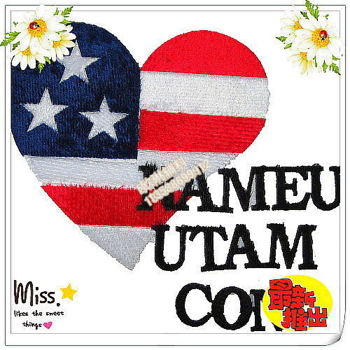 Yiwu Purchase Accessories Heat Transfer Patch American Flag Love Custom Towel/Bath Towel/Sofa Cushion/Luggage