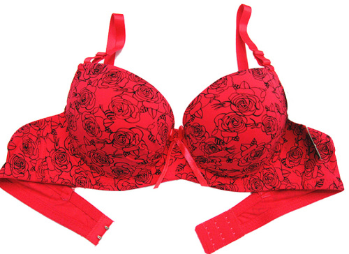 Foreign Trade Supply 8608# Thick Cup Real Swimming Rose Printing Foreign Trade Bra Underwear （Spot）