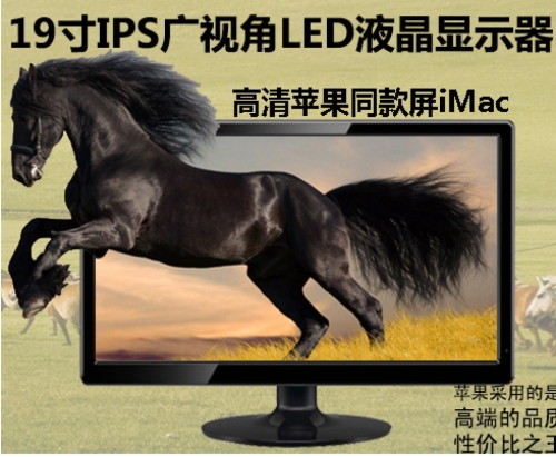 19-Inch IPS Wide-View LCD 1080P