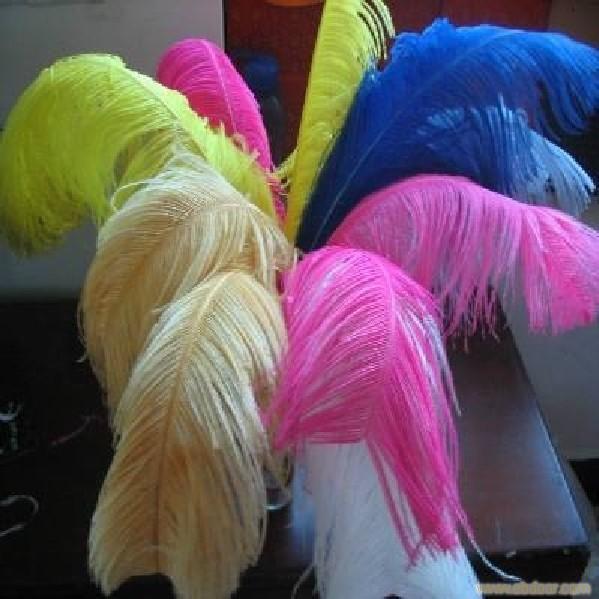 colored ostrich feathers