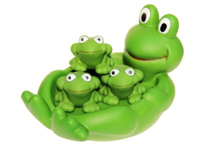 Premium Vinyl frog baby bath toy 