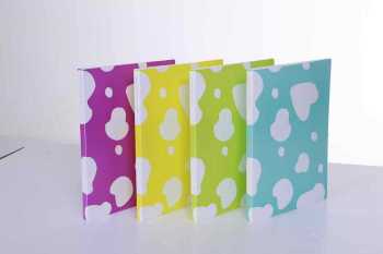 易来利柯印彩之星文件夹(单短夹)5315_ 易来利