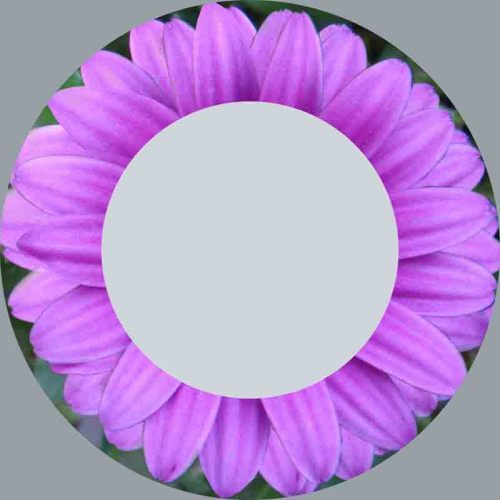 Factory Wholesale round Oval Mirror Rectangular Mirror Lacquer Painting Decorative Mirror