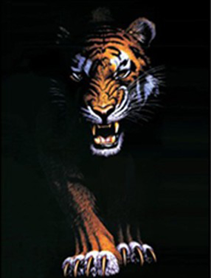 3D画，三维立体画