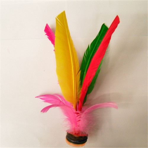 feather shuttlecock color school competition special
