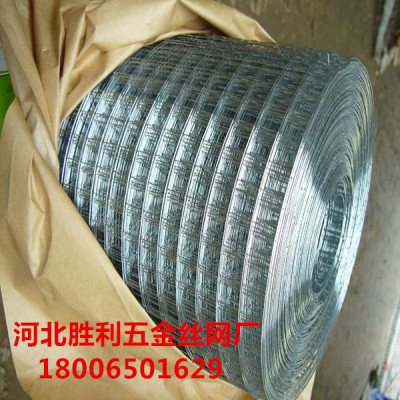 Galvanized welded wire mesh /square wire mesh/ welded wire mesh/welded fence panel