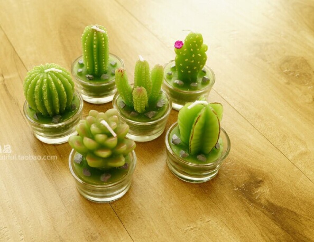 supply green candle cactus shape succulents shape candles christmas cactus online