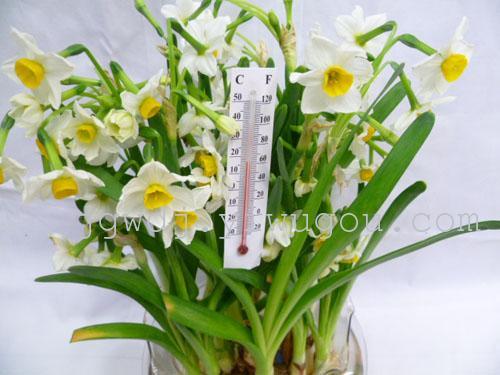 Manufacturers Provide Wholesale Paper Glass Thermometer Semicircle Mini Self-Adhesive Small Thermometer