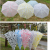 Frosted Dot Umbrella Transparent Polka Dot Creative Sunshade Umbrella Sun Umbrella