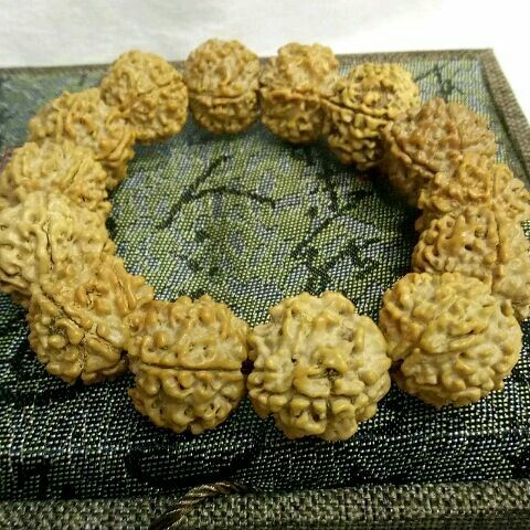 Natural Nepal High Density High Oil 5 Petals Primary Color Yellow Skin Jingang Pipal Tree Seed Rosary Bracelet