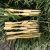 Disposable fruit fork bamboo green cake fork number can be customized 9cm