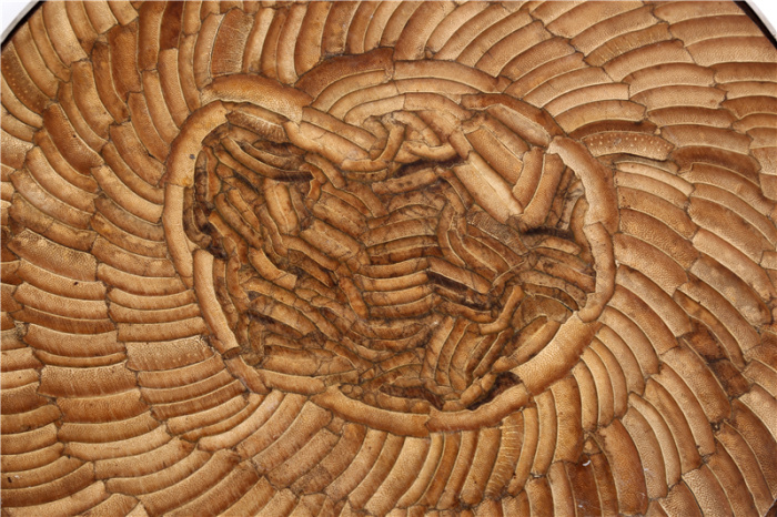 圆形竹子无胶水实木铁木面板砧板加厚剁骨切菜板详情15