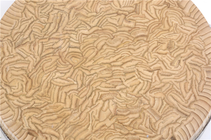 砧板加厚剁骨切菜板圆形竹子无胶水实木铁木面板详情19