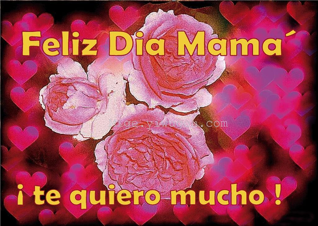 25*35 母亲节 三维画心