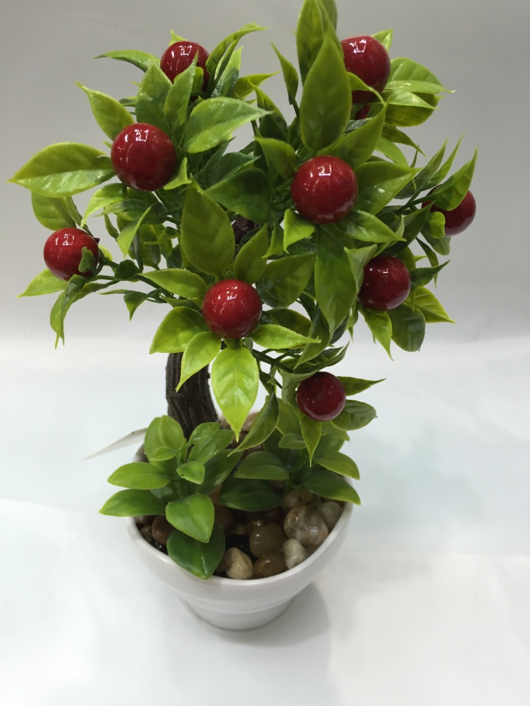 樱桃盆景制作管理