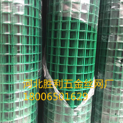 holland wire netting dutch wire mesh PVC fence