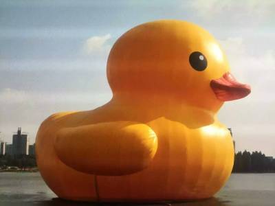 Outdoor inflatable rhubarb duck