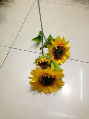 Three head simulation sunflower