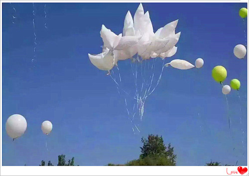 helium flying pigeon aluminum balloon decorated in various occasions for outdoor wedding celebration