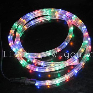 Round 2 Wire 10 M with Controller Led Rainbow Tube Light with Leather Tube Light