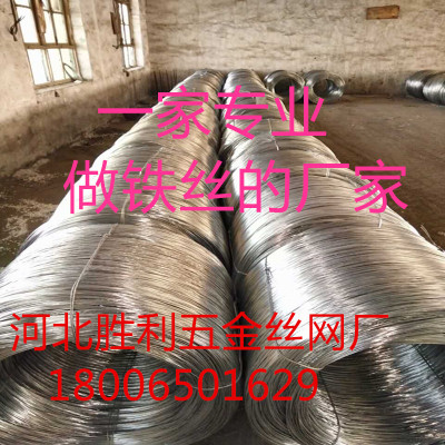 hot dipped iron wire  binding wire