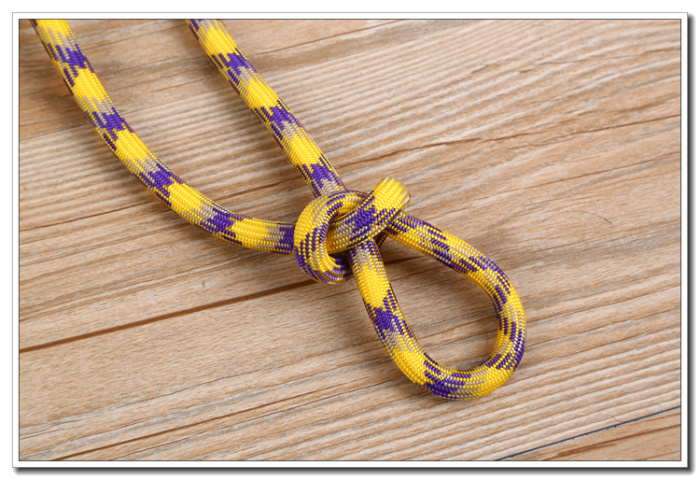 细密编织彩色绳带 宠物绳 多色绳 宠物用品 宠物绳 宠物带厂家详情5