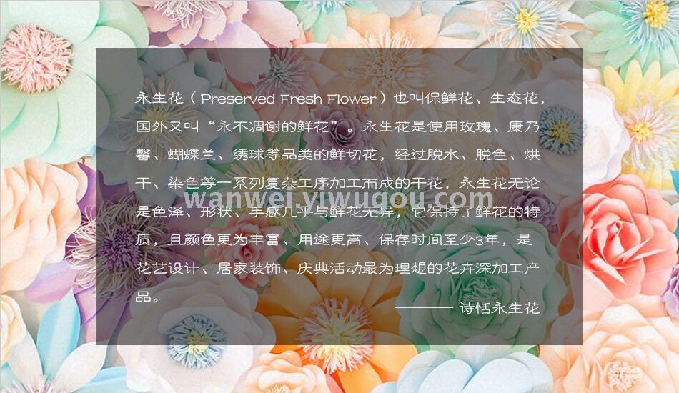 批发不凋谢永生花保鲜99朵玫瑰花礼盒 生日 婚庆 送礼详情5