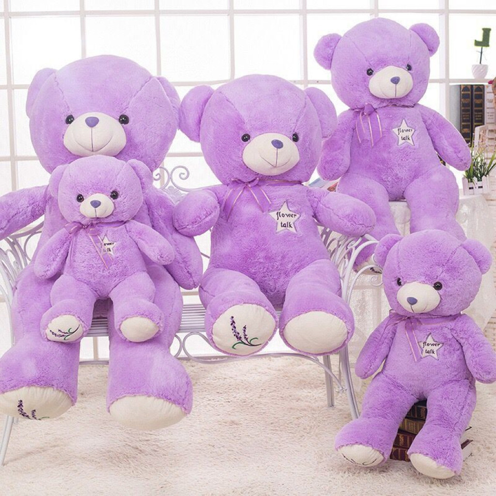 熏衣草小熊紫色泰迪熊公仔毛绒玩具抱抱熊玩偶娃娃