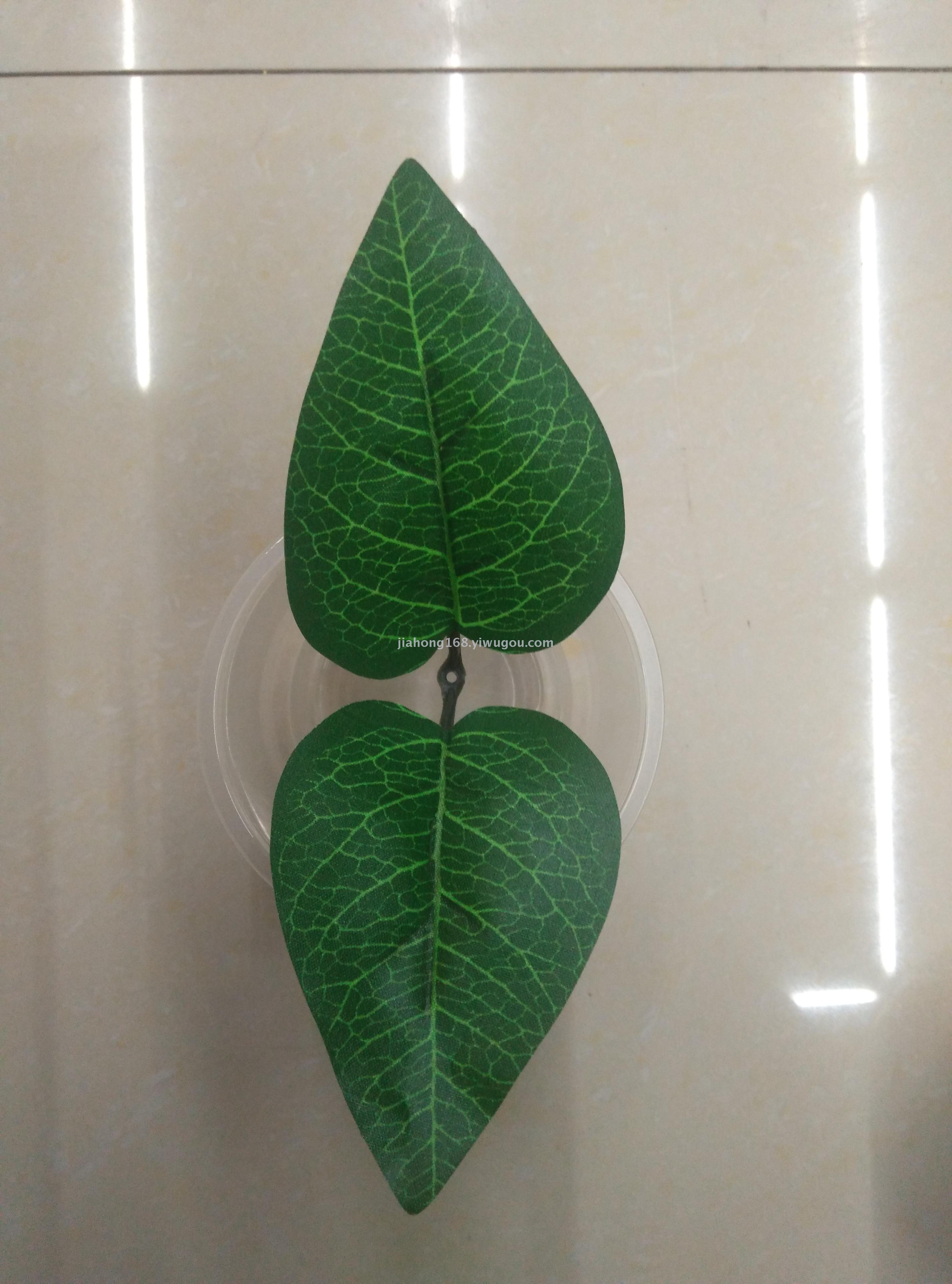 野生槟榔叶灌木的新鲜新绿色心形叶子。高清摄影大图-千库网