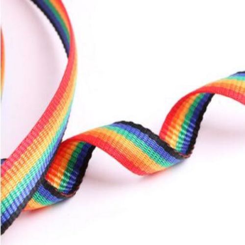 Colorful Ribbon Multi-Color Ribbon Rainbow Pp Ribbon Pp Environmental Protection Ribbon Factory Direct Luggage Ribbon