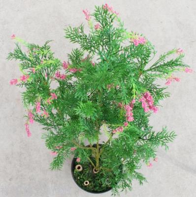 Simulation of plant plant pine tree evergreen plants in Asia leaves pine and cypress leaves decoration false pine leaves
