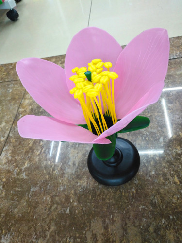 peach blossom model five petals ovary enlargement flower structure biological experiment equipment teaching instrument