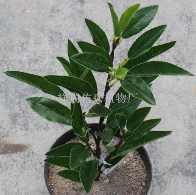 Simulation Green Plant Leaves Leaves Maojiao Tea Green Tea Indoor and Outdoor Decoration Bonsai furnishings wholesale